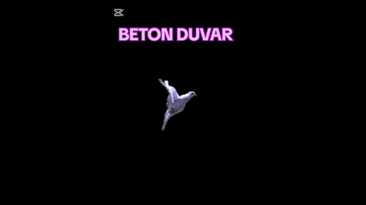 BETON DUVAR🎻(Official Video)