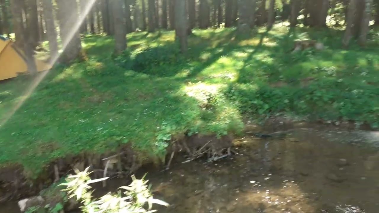 padis bihor