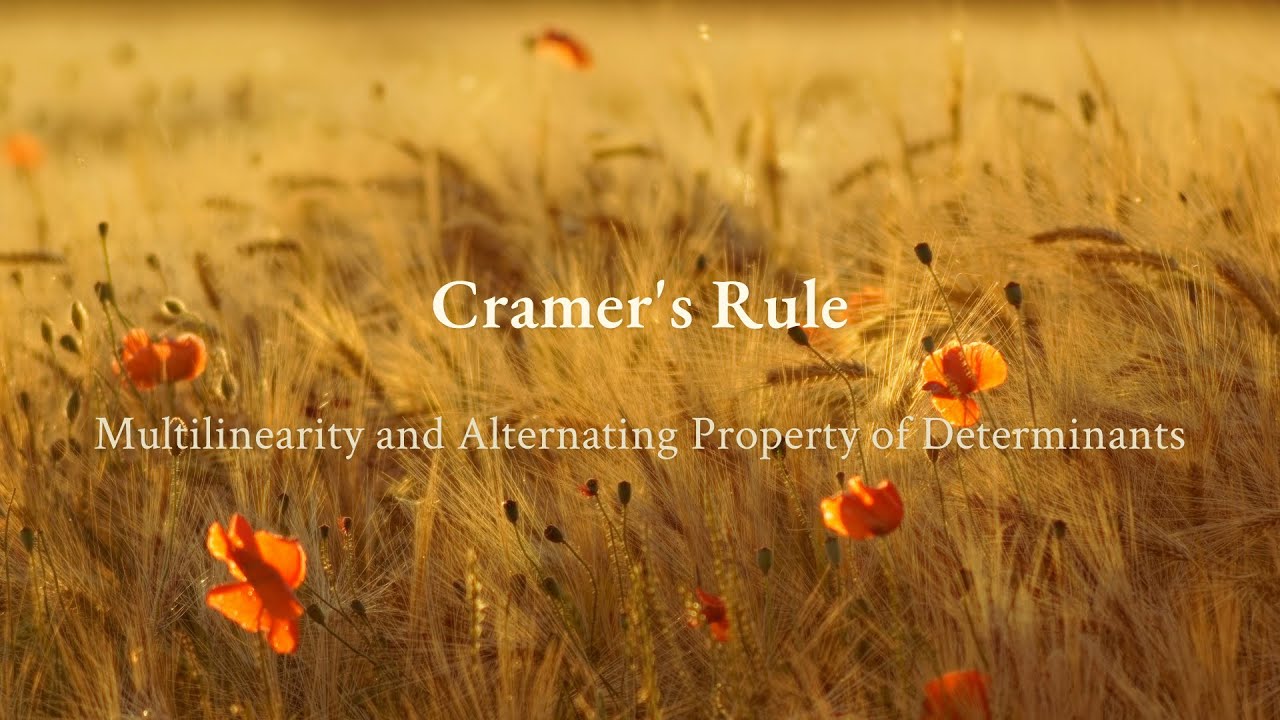 Cramer's Rule ― Multilinearity and Alternating Property of Determinants