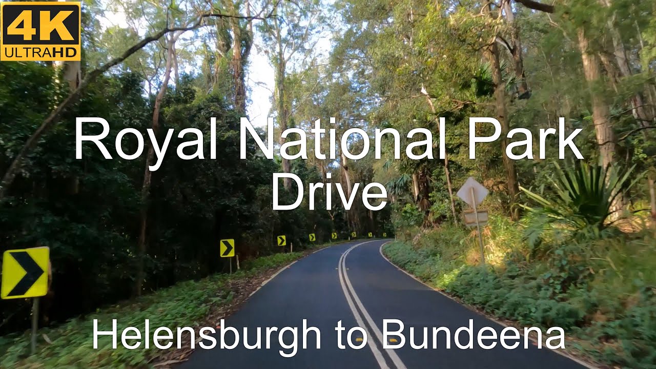 Drive In The Royal National Park | NSW Australia | 4K UHD