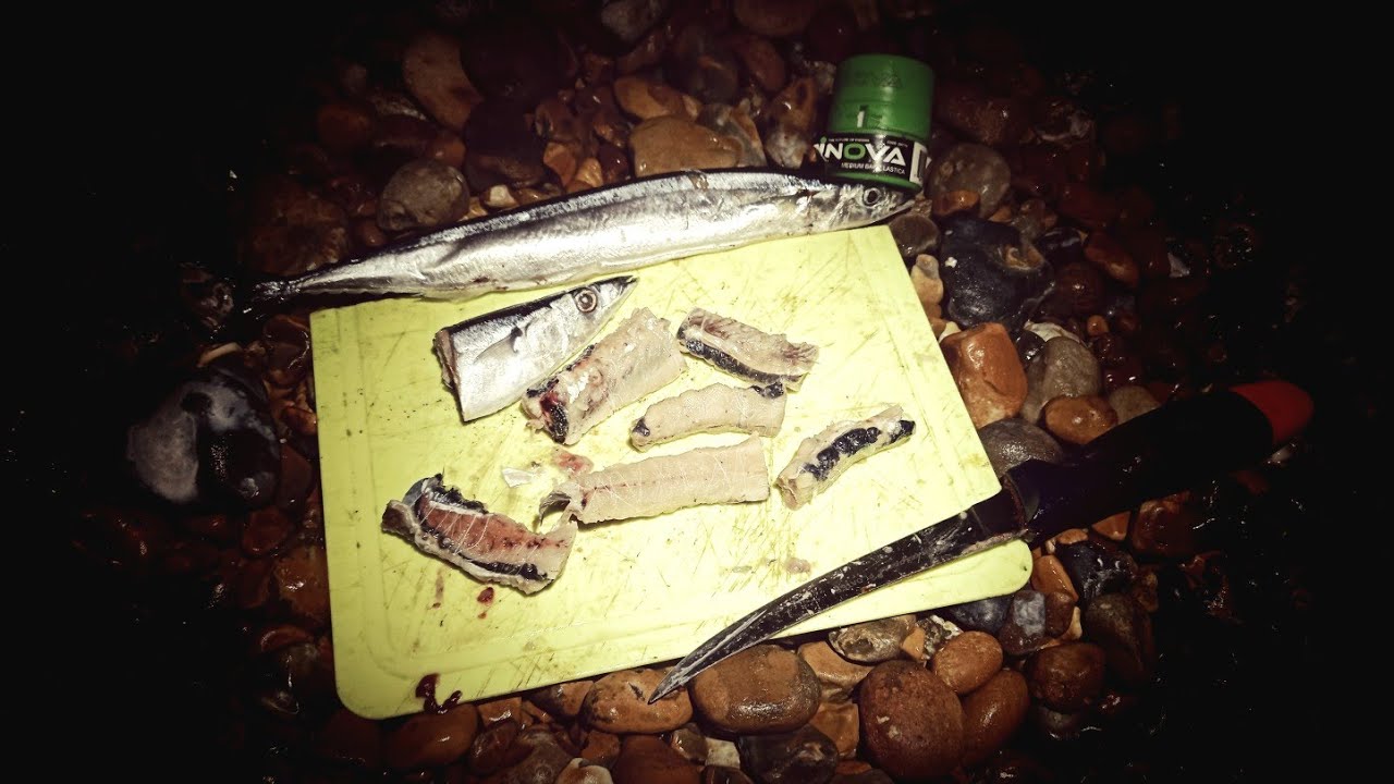 NIGHT FISHING FOR THORNBACK RAYS  IN EASTBOURNE - SEA FISHING IN THE UK - UK SEA FISHING