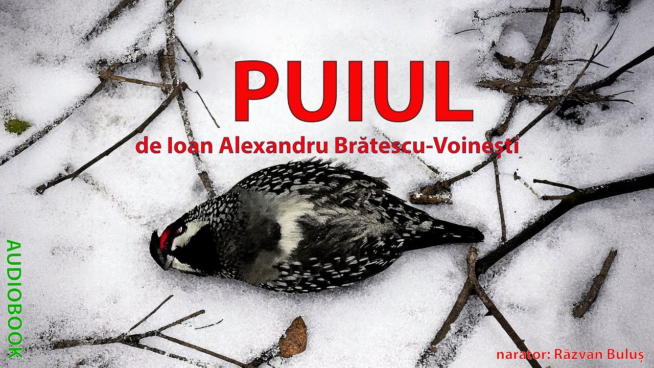 PUIUL - Ioan Alexandru Brătescu-Voinești | AudioBOOK de Razvan Bulus