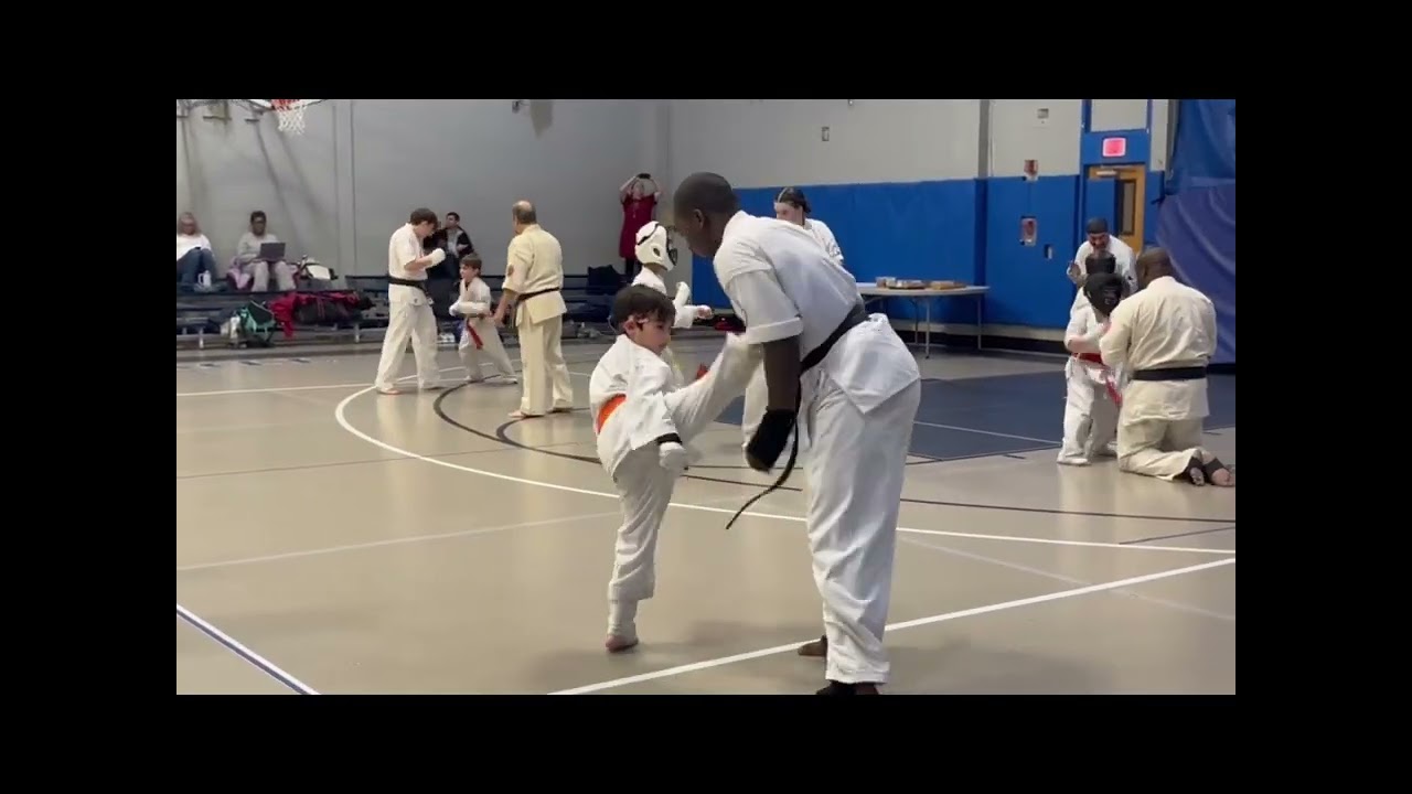 Bushiken Karate New Years Training 2026