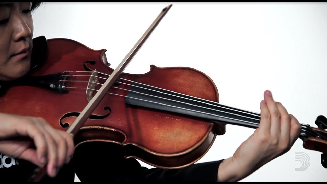 D'Addario: Zyex Viola Strings