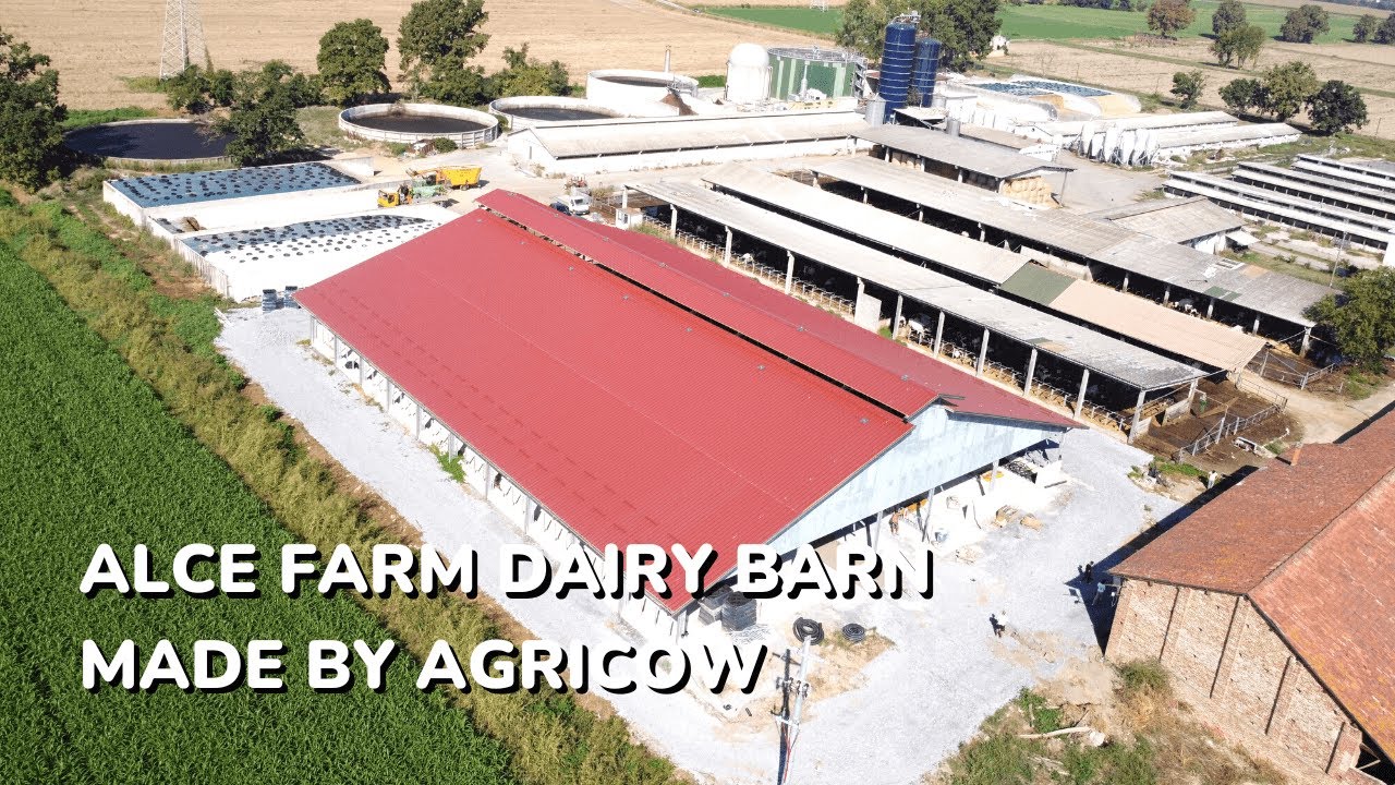 Construction and Equipment of Alce Farm Dairy Barn in Lodi (Lombardia) by Agricow