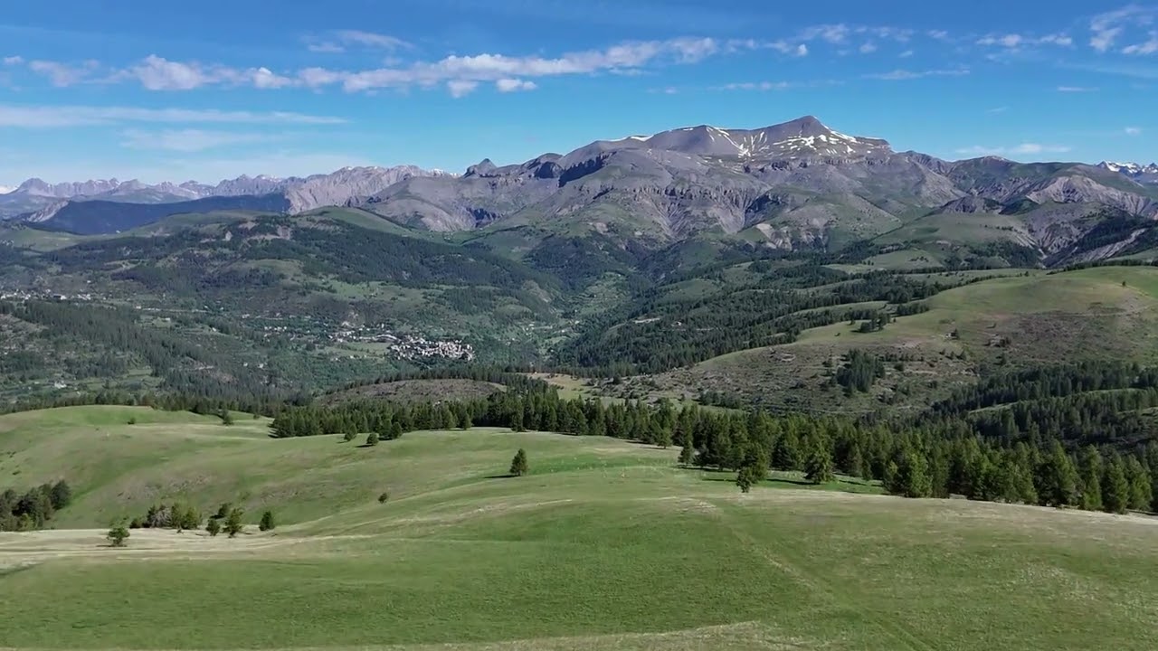 De Ilonse à la tête du pommier  17 juin 2024