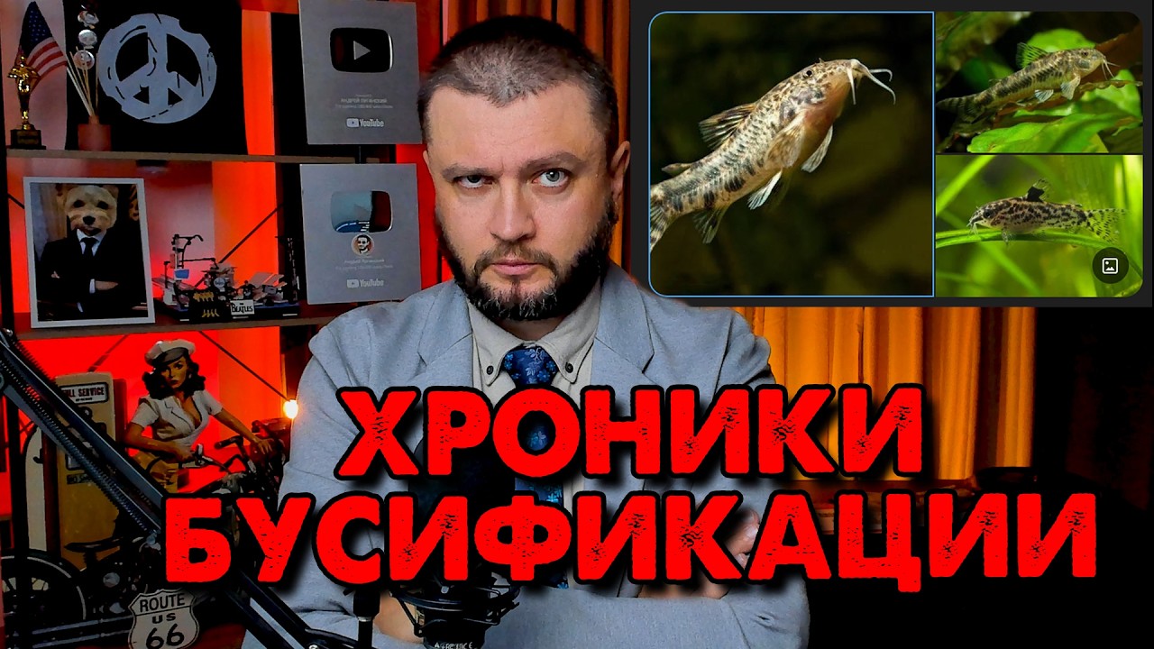 БУСИФИКАЦИЯ -  LIVE