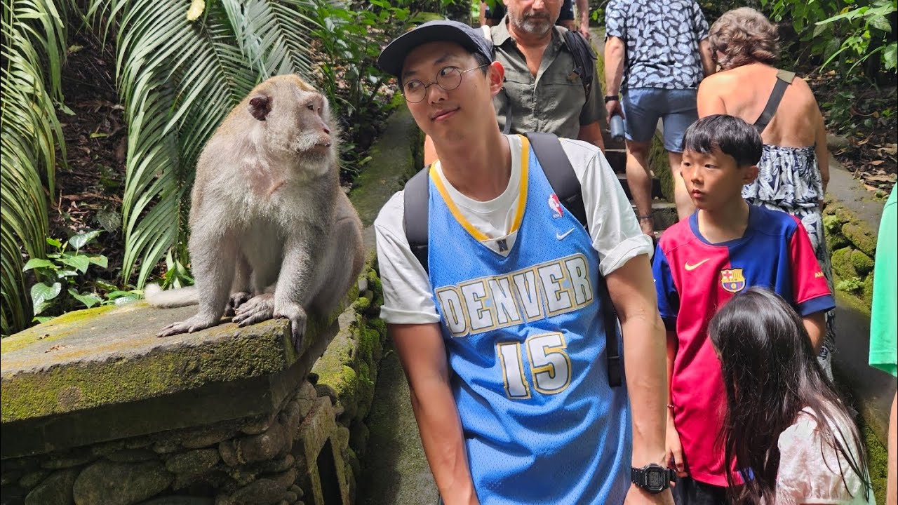 Bali l Monkey forest l 원숭아, 웃어.