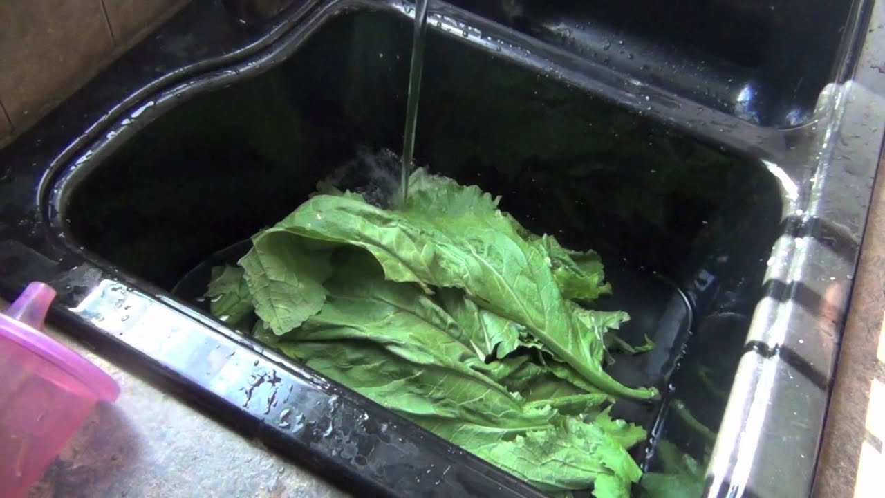 Mustard Greens: Harvesting, Blanching & Freezing