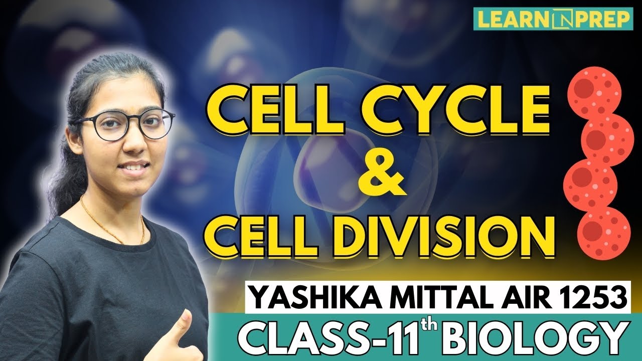 Mastering Cell Cycle & Cell Division | Class 11 Biology by Yashika Mittal (AIR 1253)