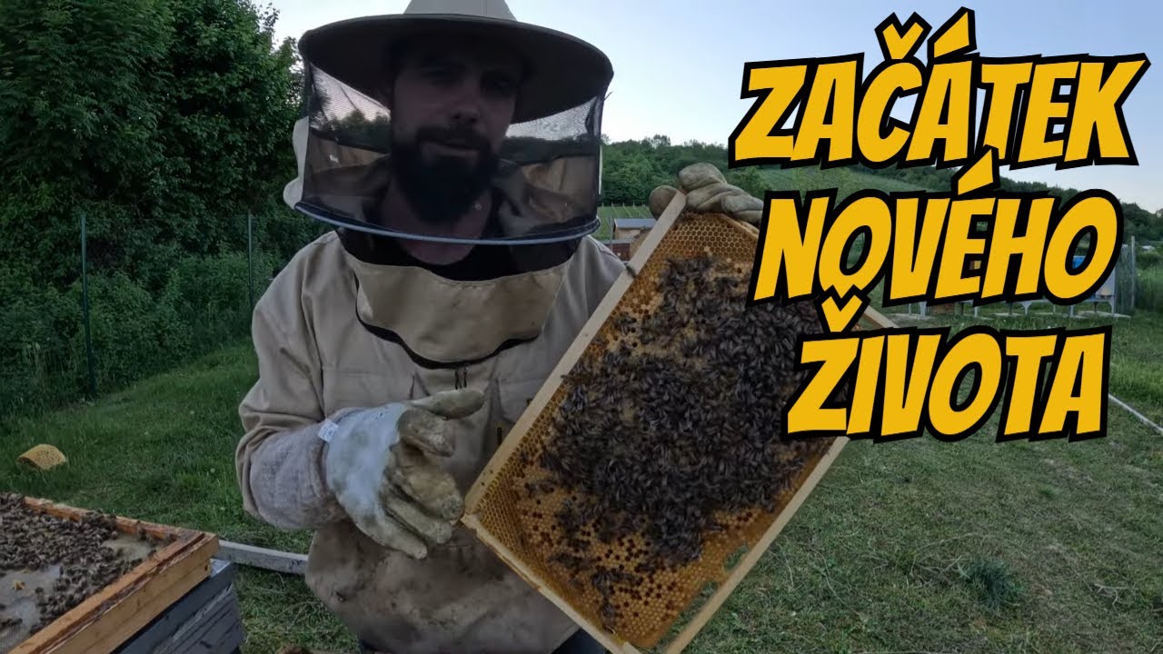 Takto si včelár založí úplne novú rodinu 🐝