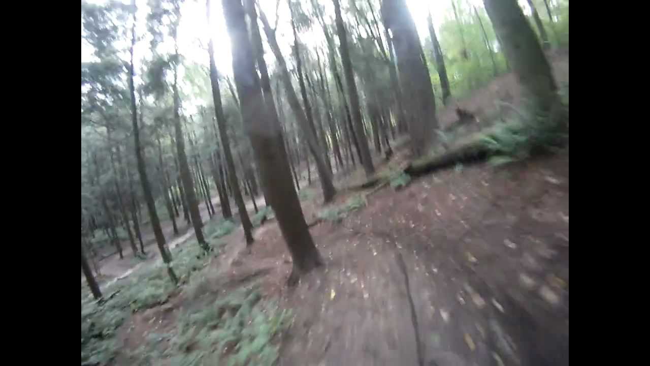york forest - wife beater