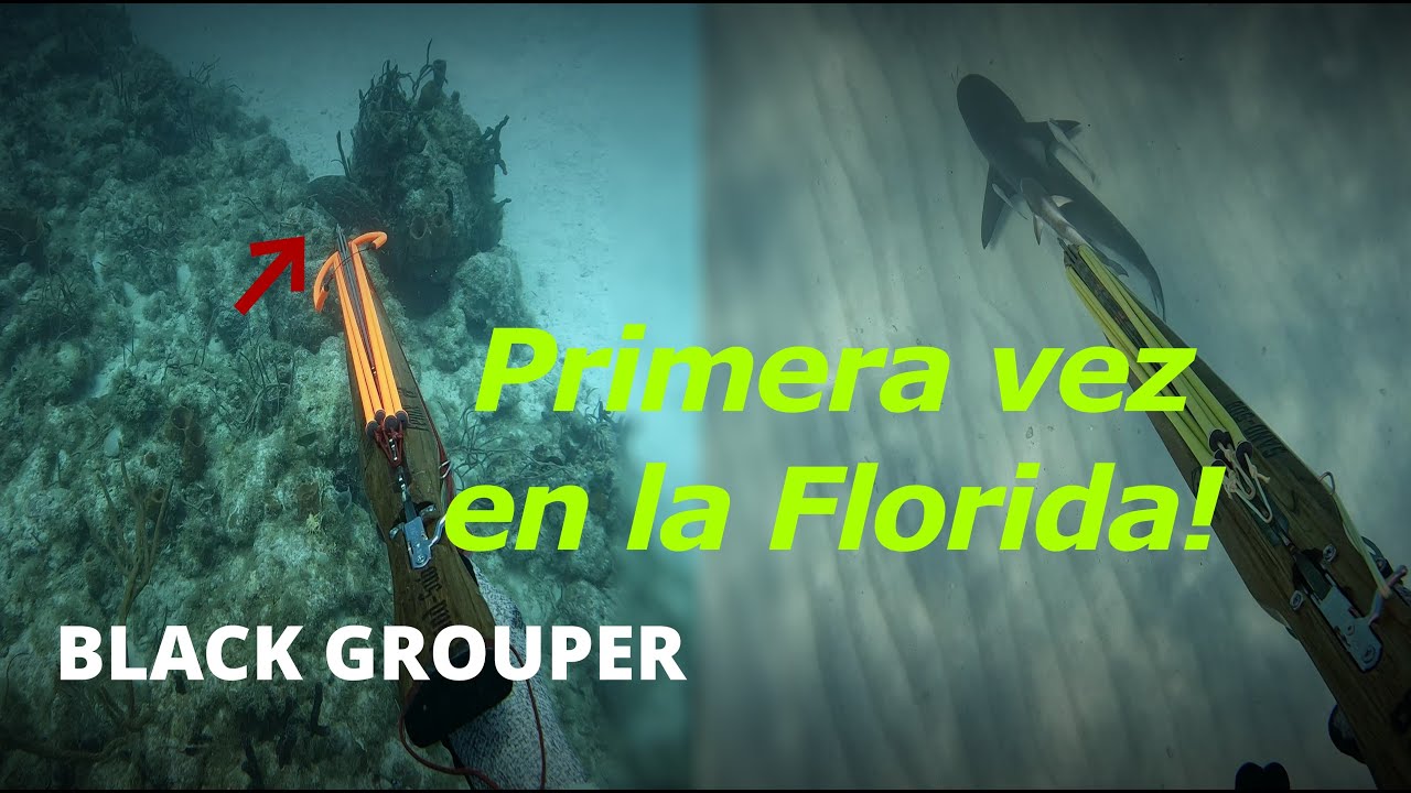 Primera vez pescando en los Cayos de Florida: ¡A la caza del Black Grouper