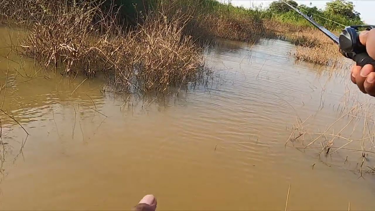 Wow Unbelievable Getting Big Fish| Fishing Big On The Tonle Sap Lake In Cambodia.