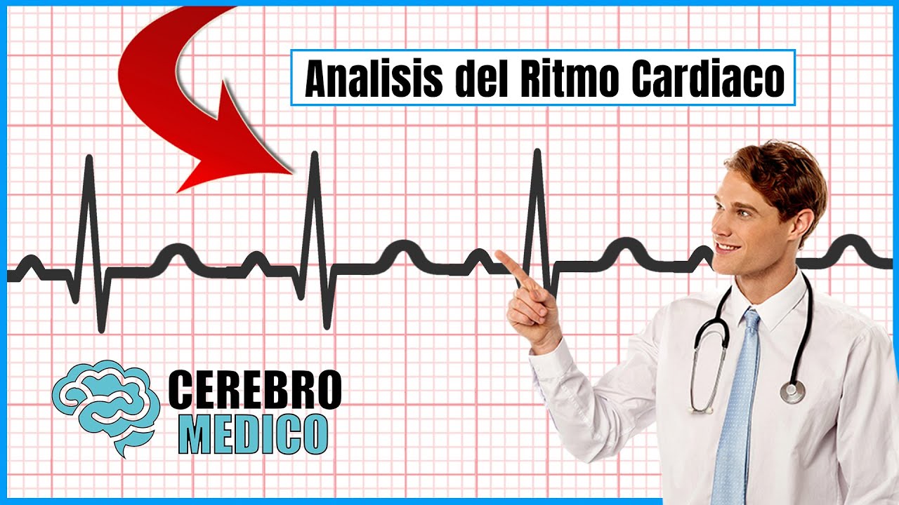Análisis del Ritmo Cardíaco | ▷ Como leer un EKG paso a paso