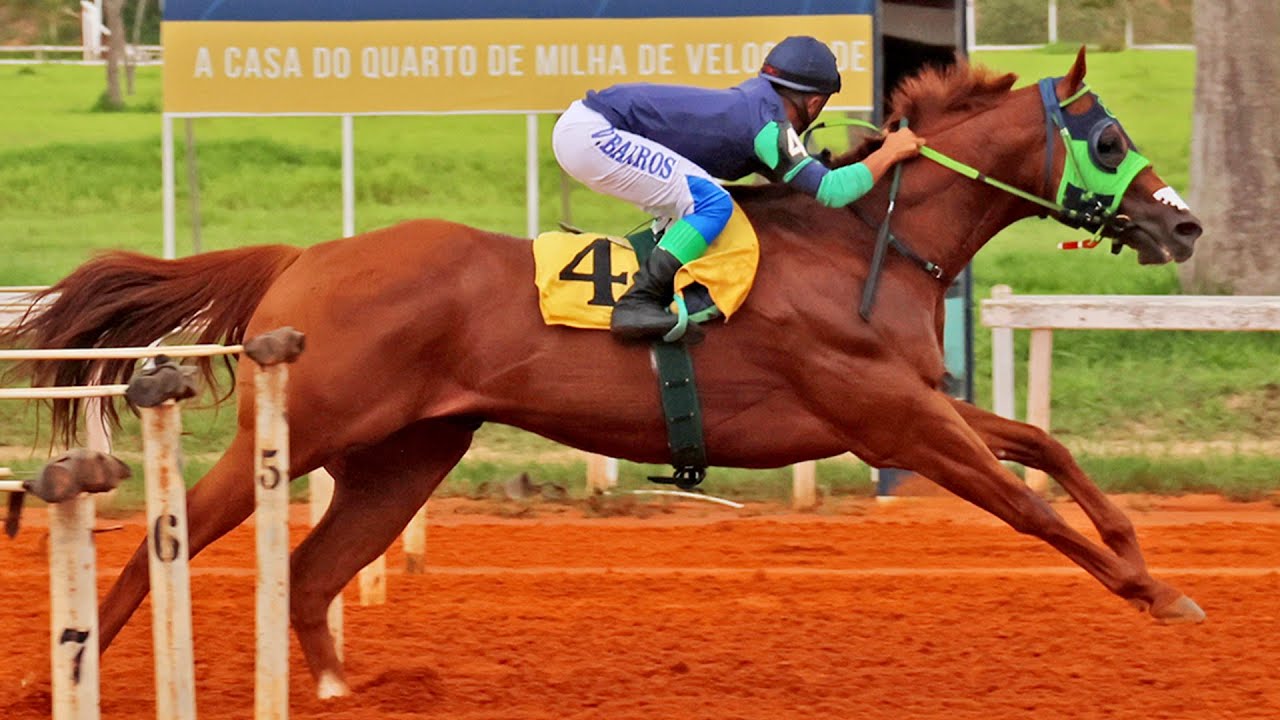 Especial - GP CAMPEÃO DOS CAMPEÕES 2024 - Classificatórias e final!!!