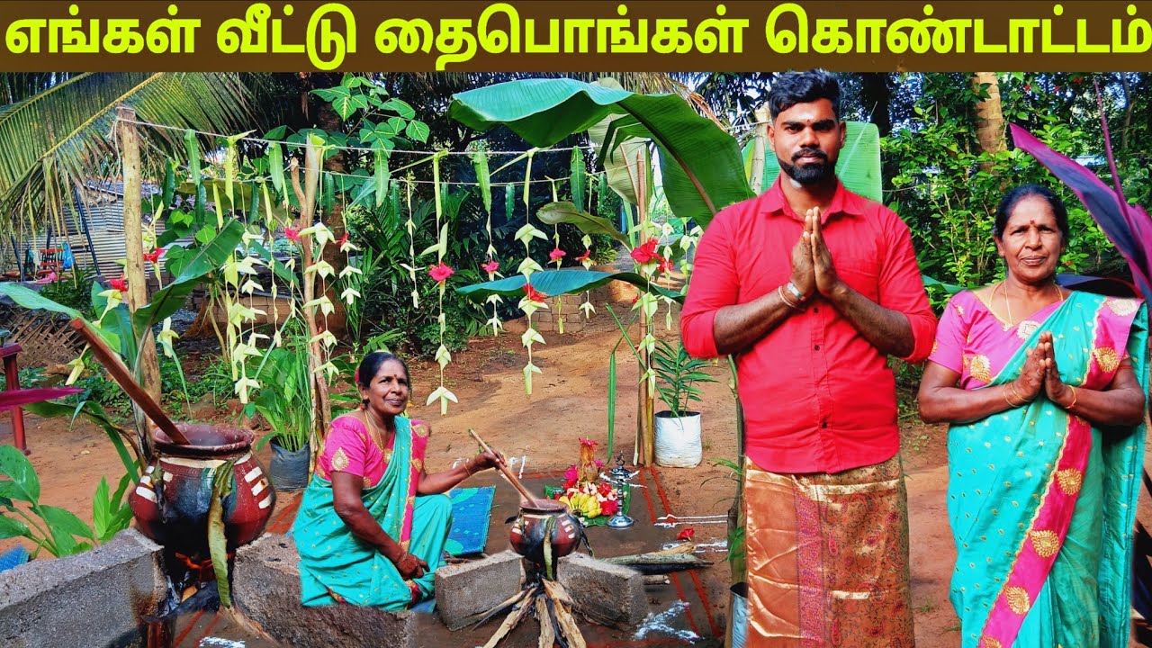 தமிழர்களின் பாரம்பரிய தைபொங்கள் கொண்டாட்டம்  l village life 💚 vanni bro 
