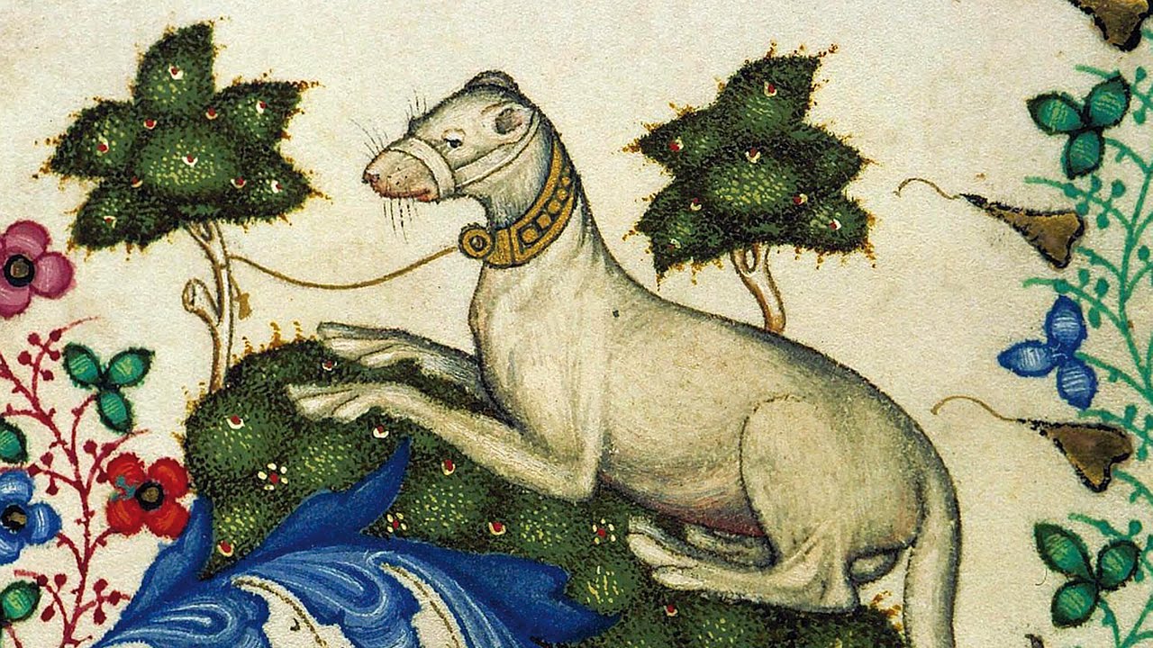 Bestiari medievali, tra mito e scienza
