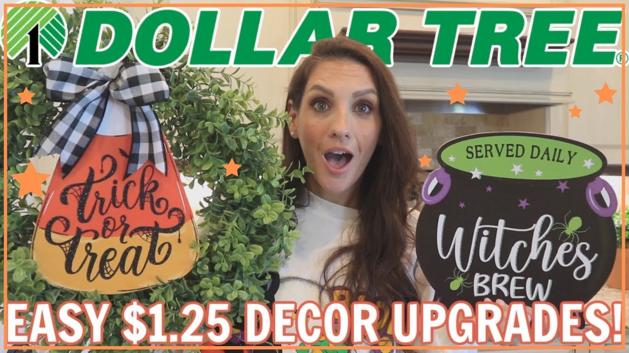 *EPIC* DOLLAR TREE HAUL | LOKI'S BIRTHDAY DOG HAUL - all Dollar Tree Finds for $1.25
