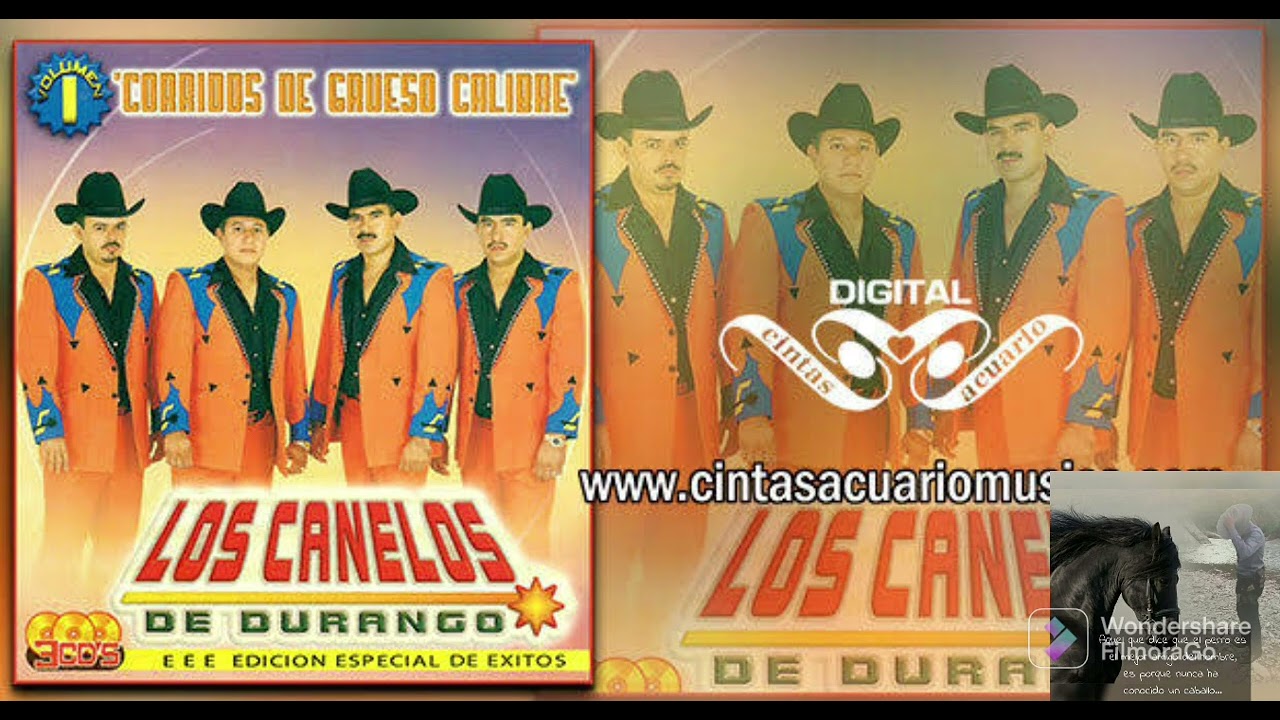 Los Canelos de Durango // Corridos Mix. Parte 3