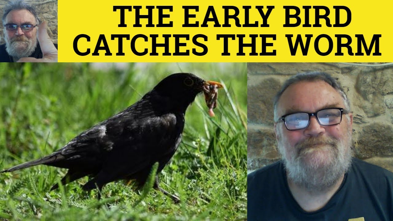 🔵 The Early Bird Catches The Worm Meaning - The Early Bird Catches The Worm Definition - Idioms