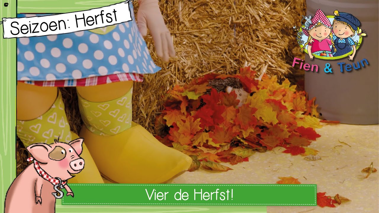 Vier de Herfst met Fien en Teun | 28 minuten kijkplezier!