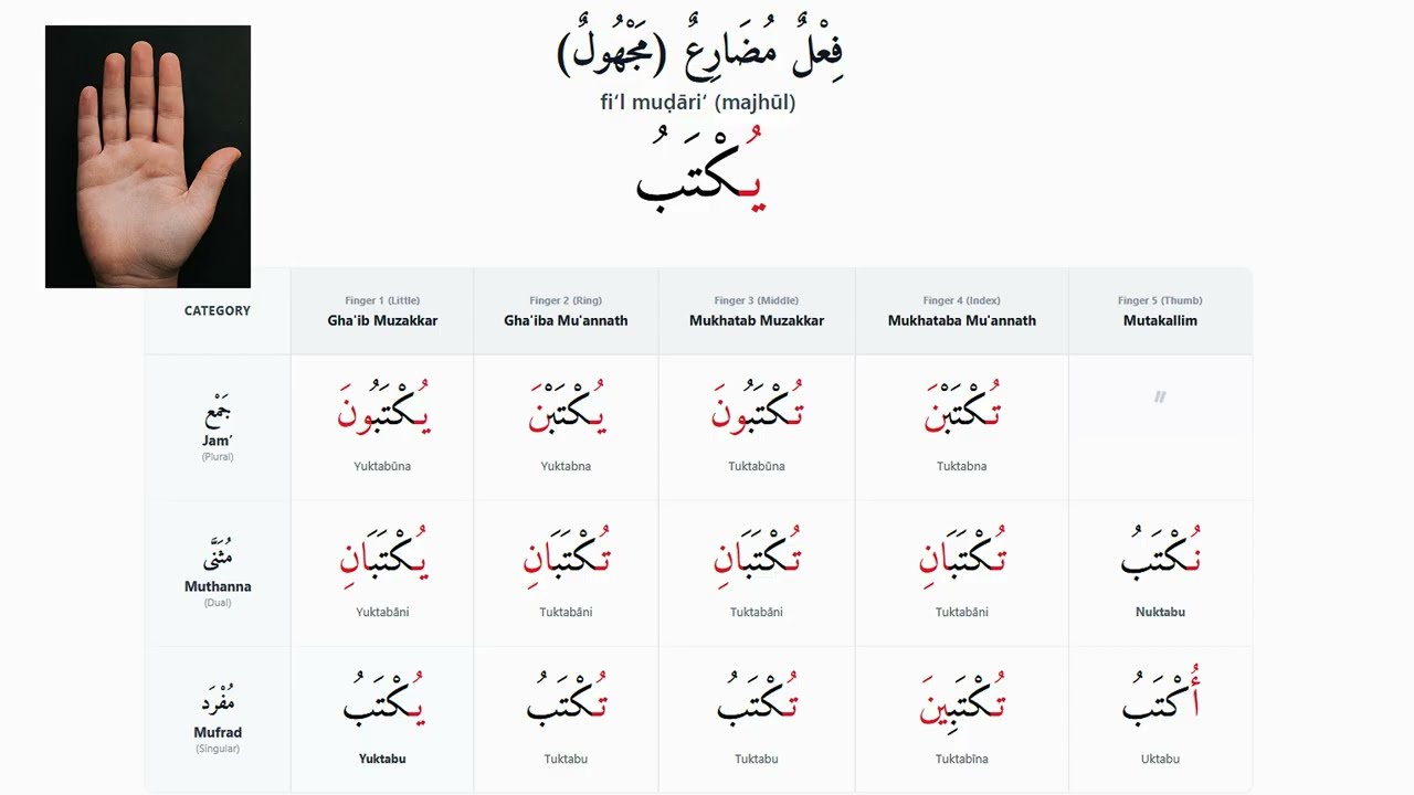 LEARNING ARABIC HAS NEVER BEEN SO EASY – AMTHILA AL-MUTTARIDA