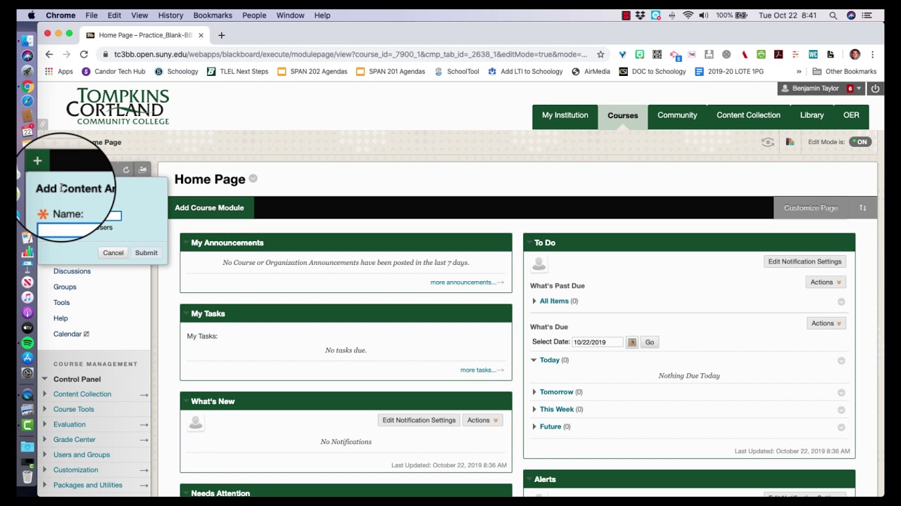 Add Course Outline to Blackboard (TC3)