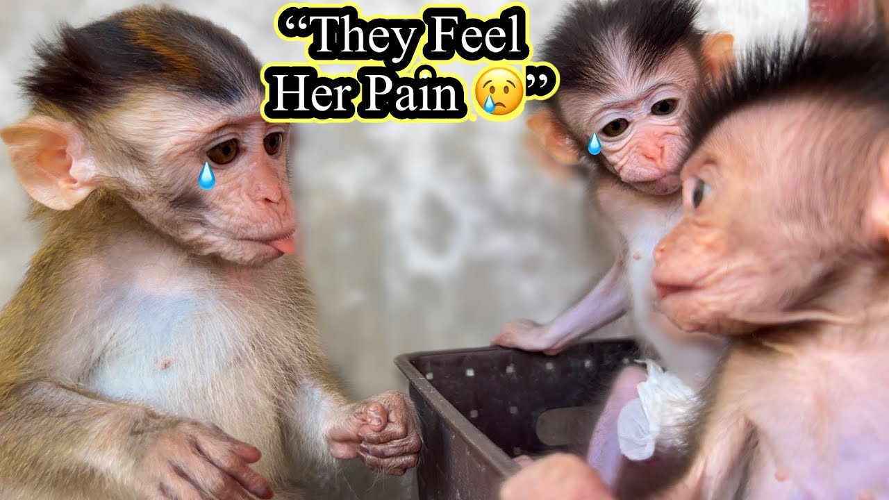 “She Just Lost Everything… and They Knew It 😭💖”