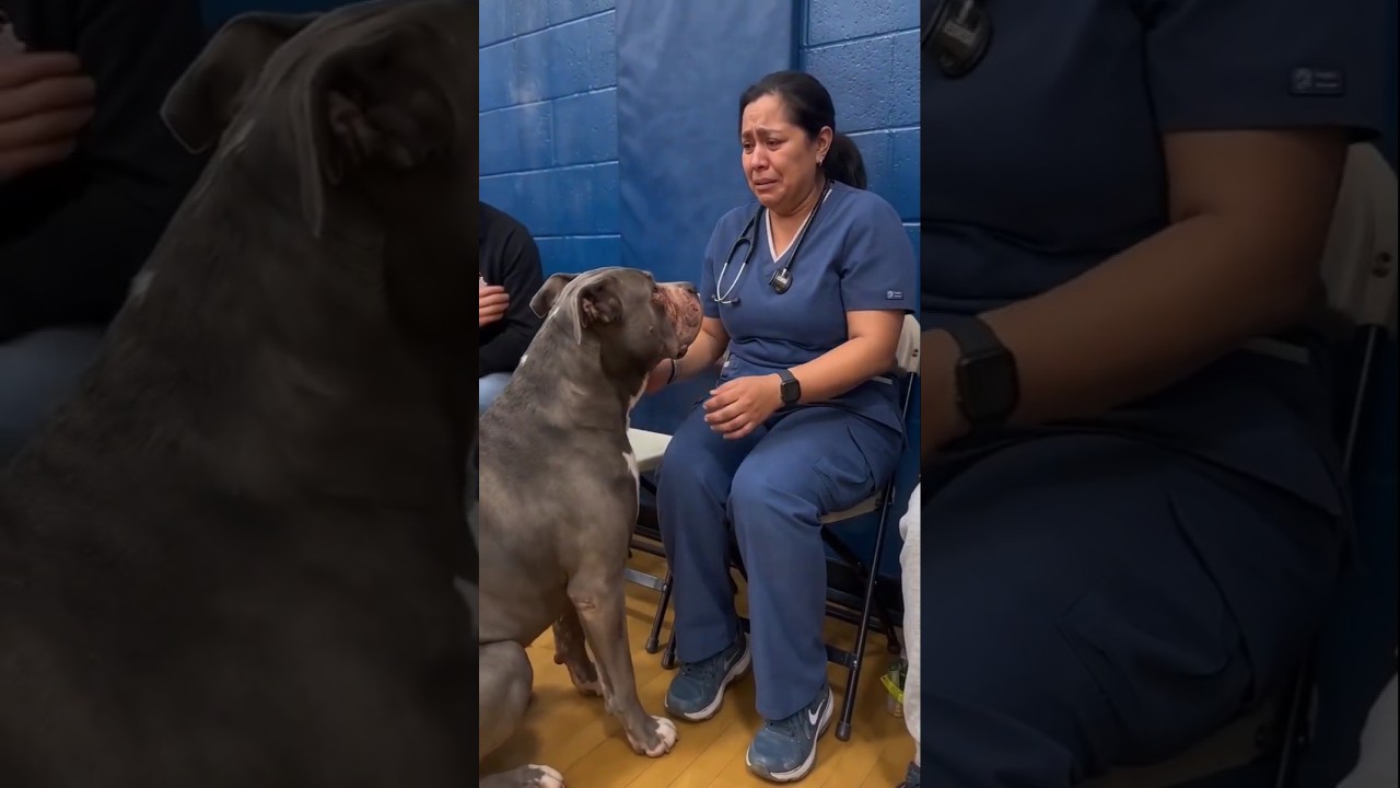 They Brought Her a Hero of Her Own