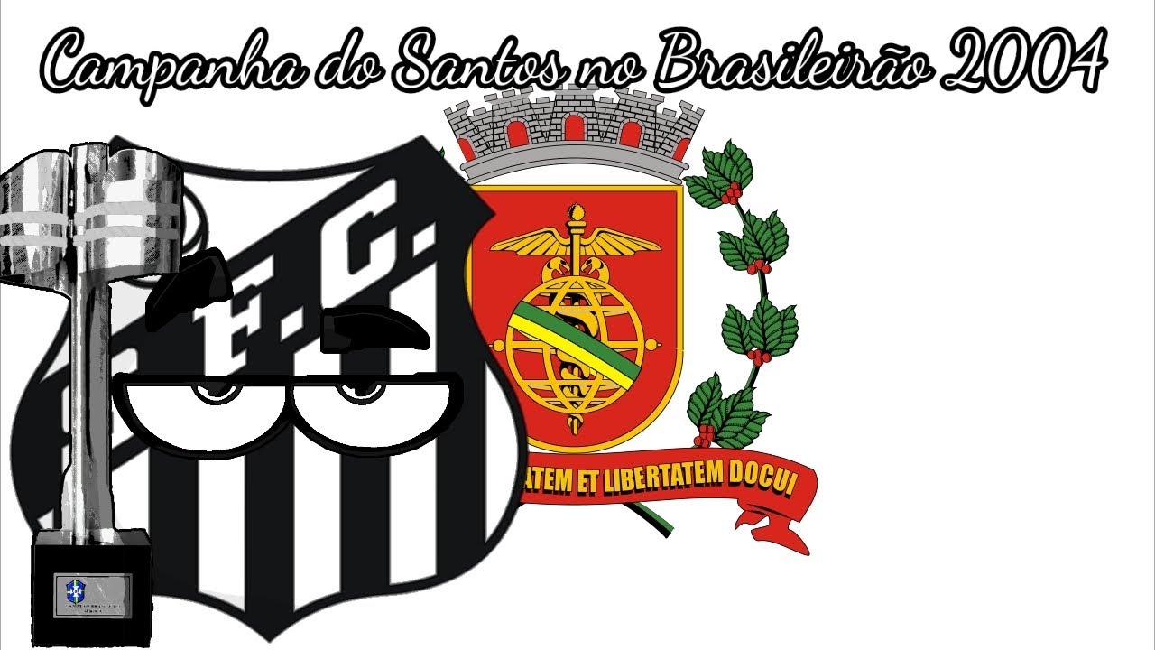 Campanha do Santos no Brasileirão 2004