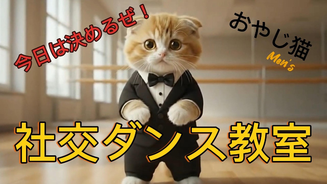 AI猫  おやじ猫♡社交ダンス教室に体験に行ってみるにゃん🐾リズム感はバッチリ✨自信あるにゃん🐾