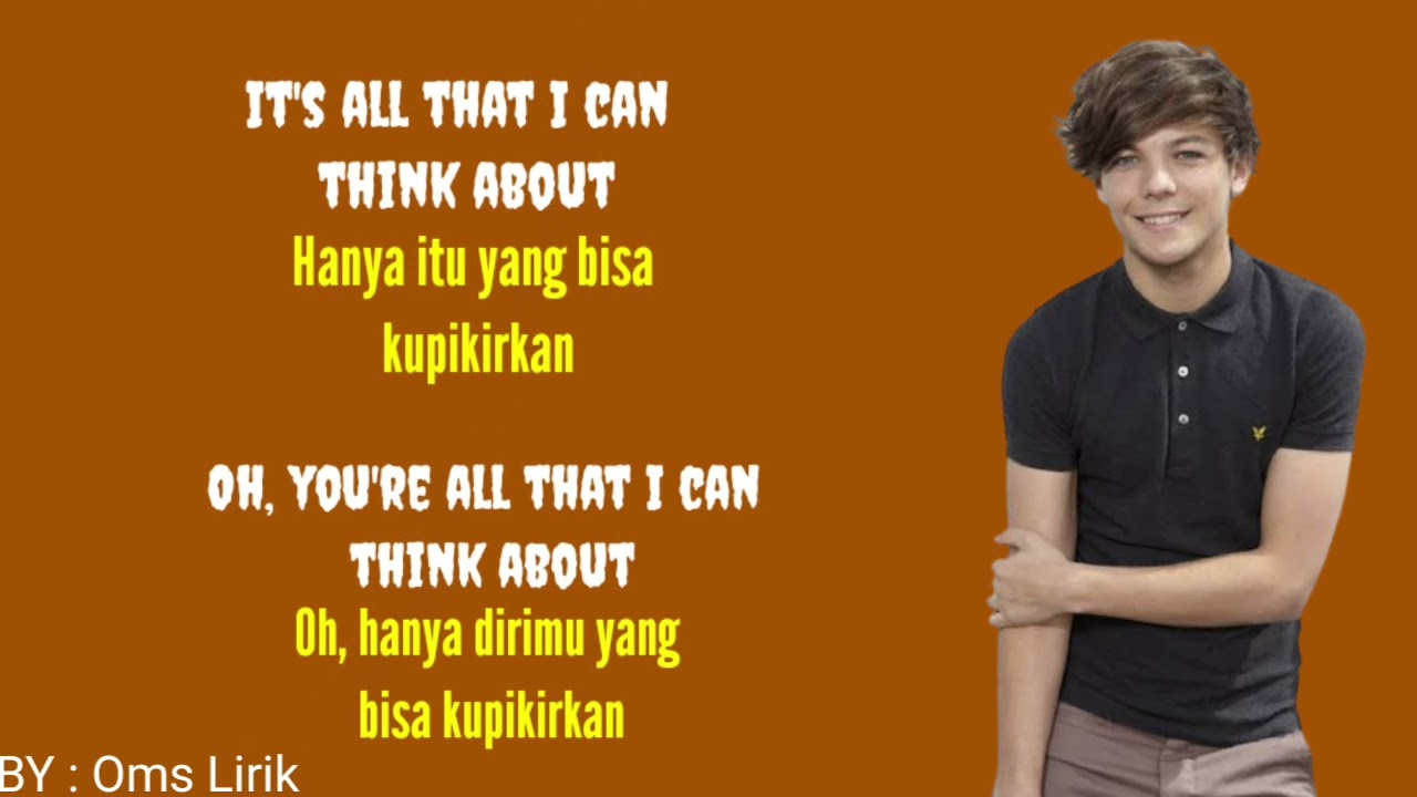 I Should Have Kissed You - One Direction ( Lirik dan Terjemahan )