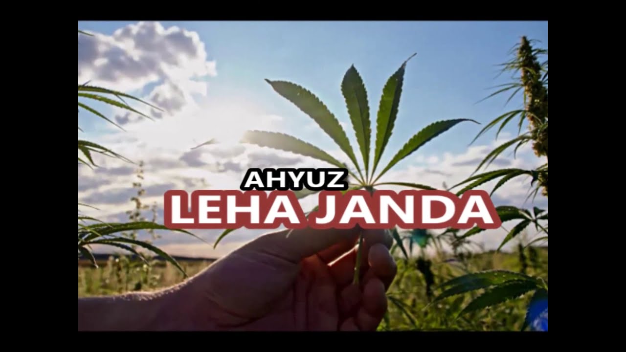 LEHA JANDA - AHYUZ (PROMO)