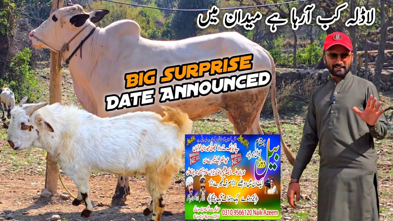 Big Surprise Date Announced Ladly Ki Race MB Vlogs 