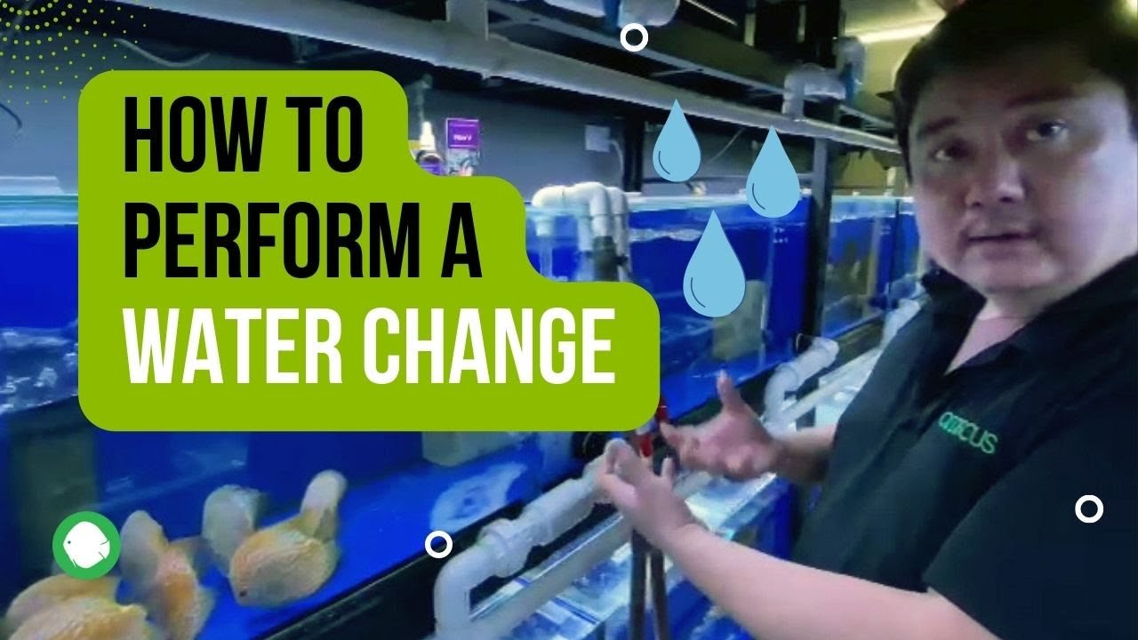 Как выполнить подмену воды