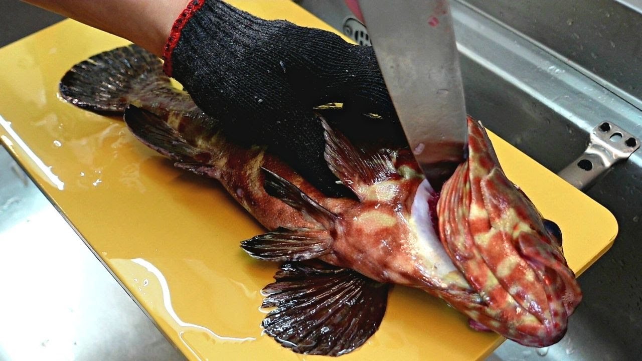 Длинноперый морской окунь, Желтый морской окунь, Tuskfish, свежая рыба из пролива Пэнху, Тайвань.