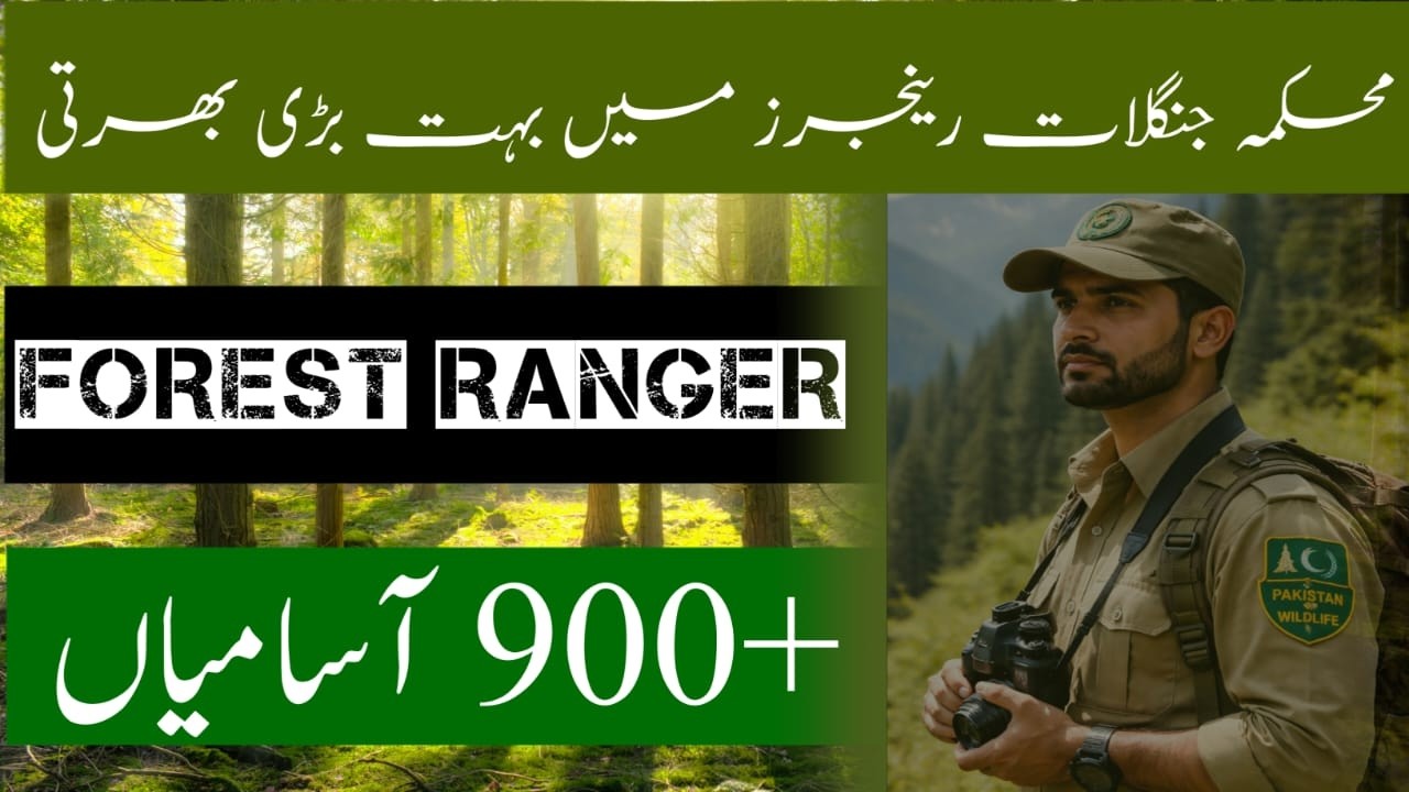 Punjab Forest Department Jobs 2026 | Forest Ranger & Inspector Vacancies | Latest Govt Jobs Punjab