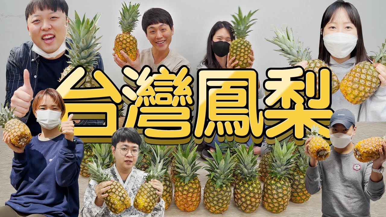 第一次吃到台灣鳳梨的韓國人反應是?!(到底買了幾顆啊...?)❤5-min.韓國