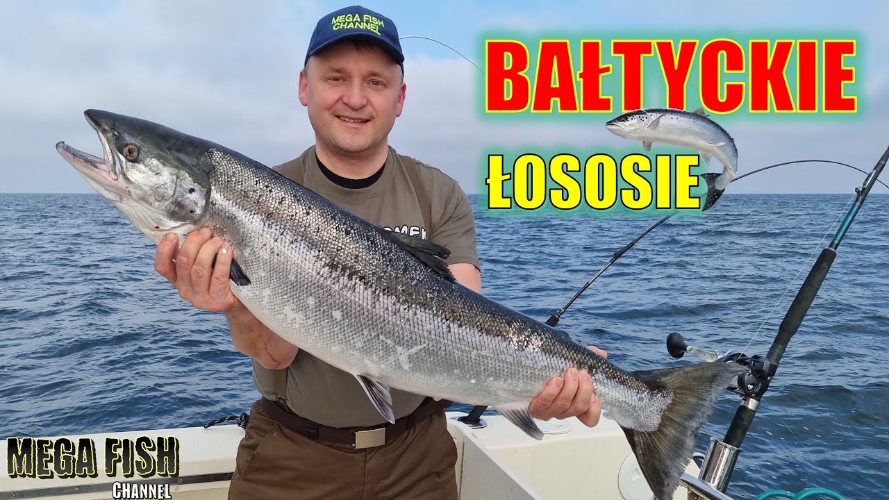 BAŁTYCKIE ŁOSOSIE. TROLLING MORSKI. MEGA RYBY!!!