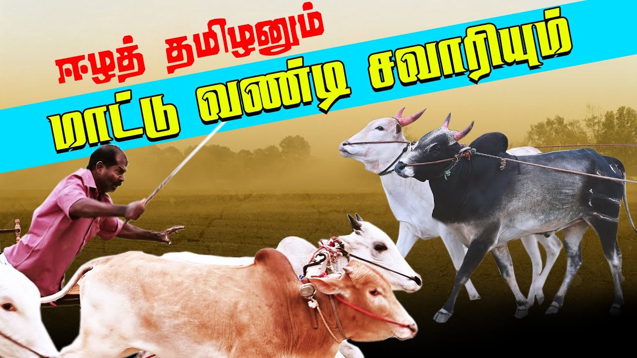 ஈழத்தமிழனும் மாட்டு வண்டி சவாரியும் | Savari
