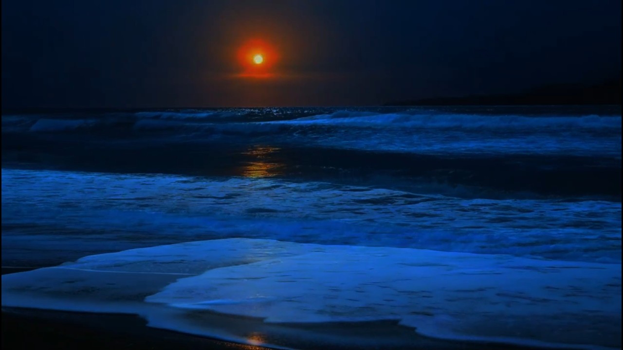 Relaxing Night Sea | Soft Waves for Sleep & Stress Relief
