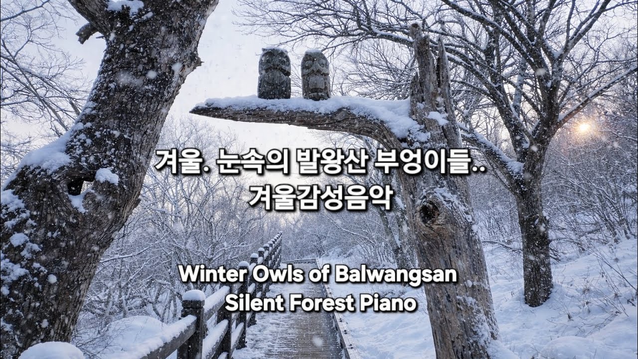 겨울 눈속의 부엉이, 겨울감성음악, Guardians of the Winter Forest 🦉 Balwangsan