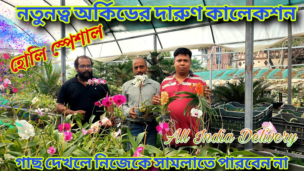 সেরা অর্কিড নার্সারি দামি গাছ পাবেন কম দামে /আনলিমিটেড নতুন স্টক পারবেন/Special Orchid Nursery visit