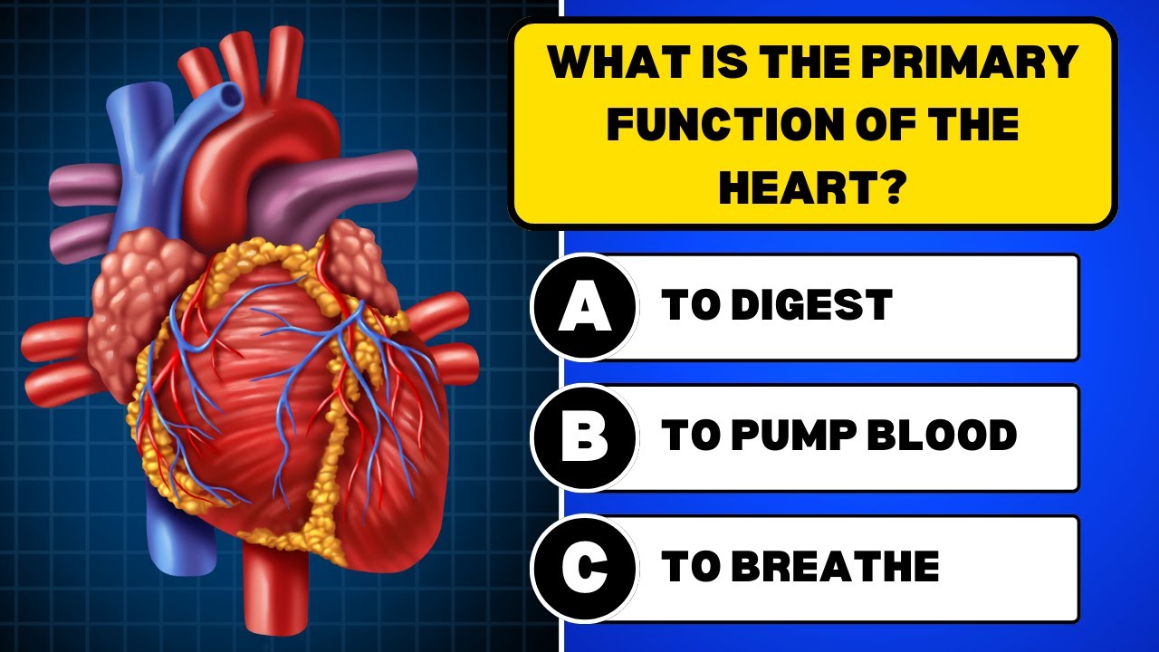 Can You Pass This Human Body Quiz? 🧠 | 50 Fun Questions