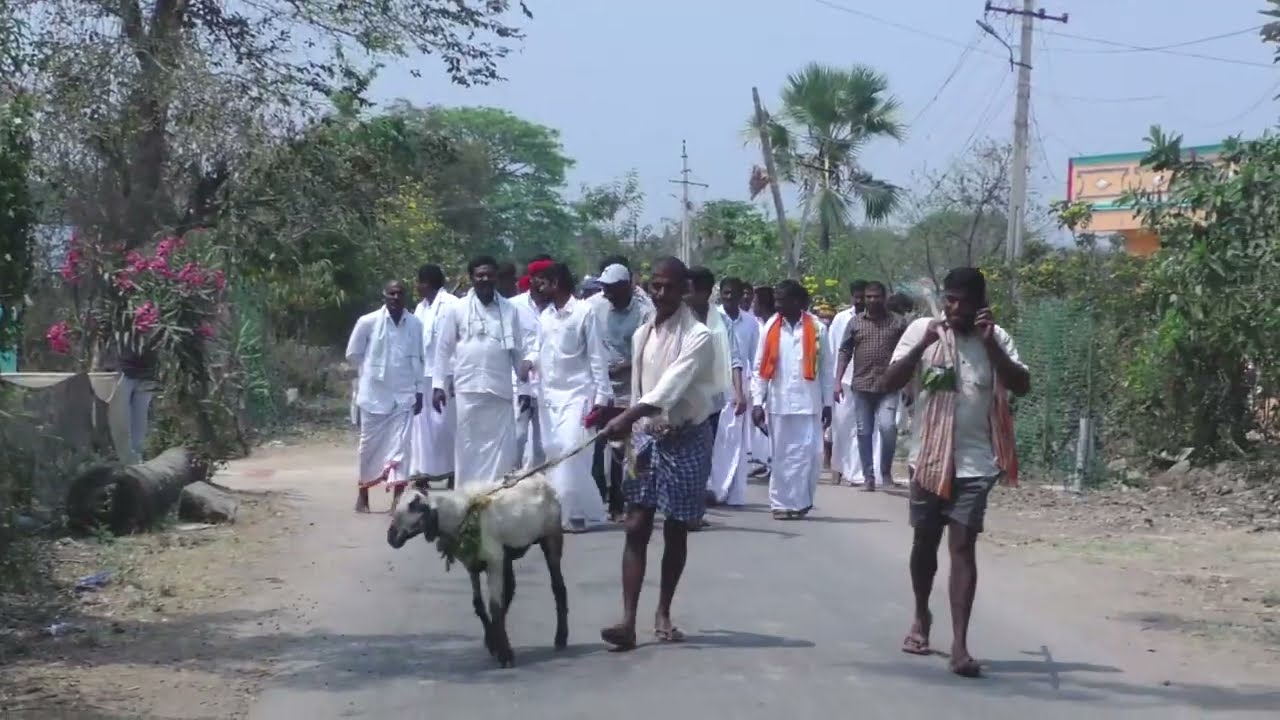 పోచమ్మ బోనాలు -4 chiruthala ramayanam KUMMARIKUNTA #youtube #devotional #trending #bajanasongs