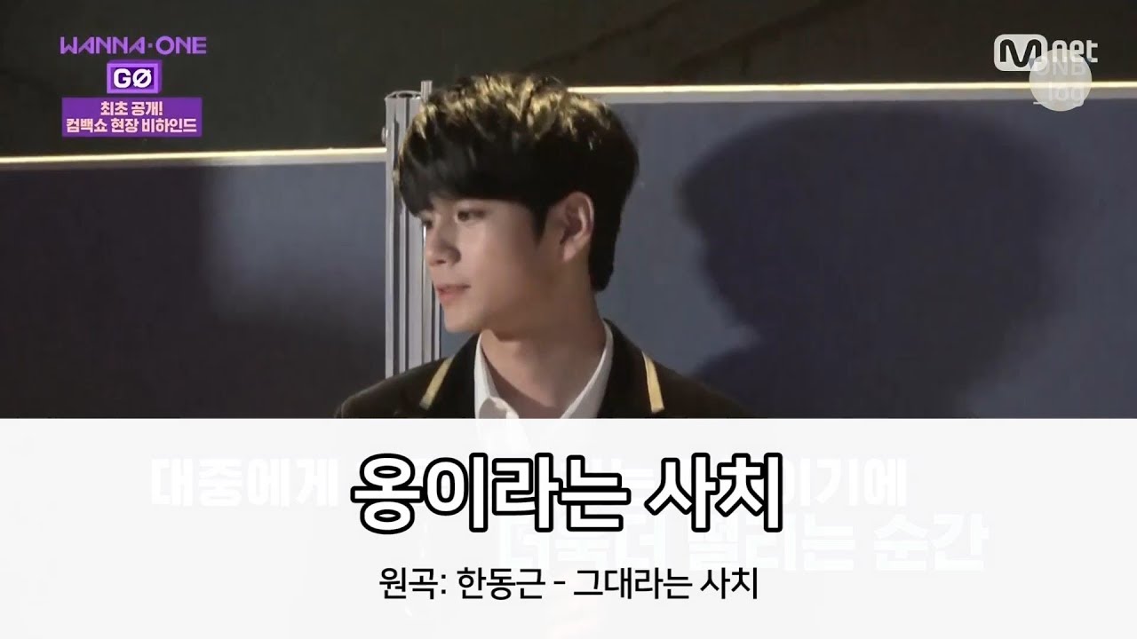 [옹성우|워너원고 2] 옹성우가 부릅니다, 옹이라는 사치 (노래방ver.)