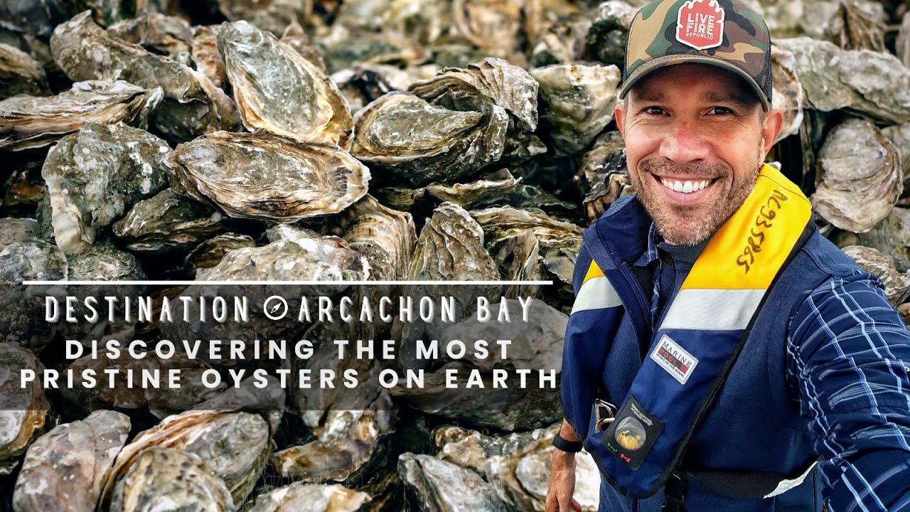 Destination: Arcachon Bay| The Hunt for France's Greatest Oyster | Episode 3 (part 1 of 2)