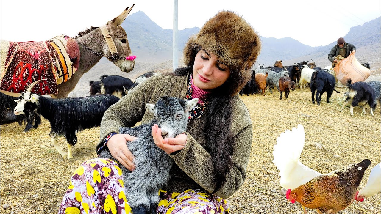 Village Life In Iran: Amazing Bread Baking & Wonderful Donkey Riding