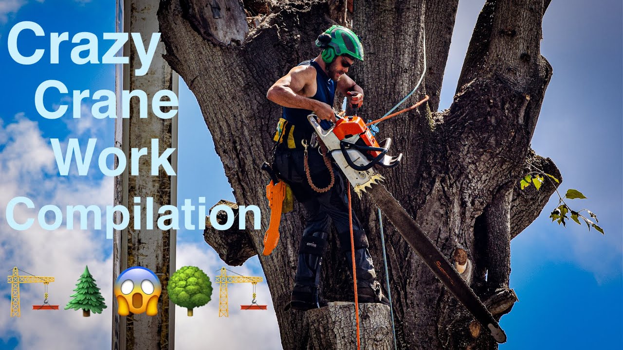 CRAZY Crane Work Compilation! BEST PICKS from 2018-2021!